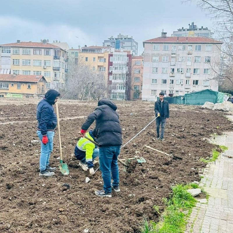 Arnavutkoy projemiz